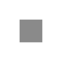 rectangle-1-gray